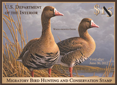 2011-2012 Duck Stamp