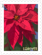 Poinsettia Christmas Stamp 2013