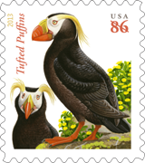 Tufted Puffins Stamp, 2013
