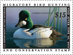 Federal Duck Stamp (not a postage stamp)