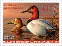 USPS Federal Duck Stamp 2014 - Migratory Bird Hunting and Conservation Stamp