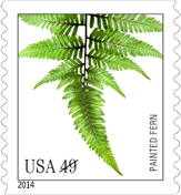 USPS Painted Fern Stamp, 2014