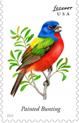USPS Painted Bunting Forever Stamp 2015, Bird Stamps