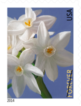 Winter Flowers Stamp, 2014 - USPS Flower Stamps 2014