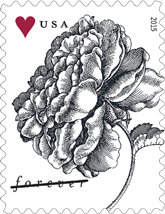 USPS Vintage Rose Stamp USPS, 2015, Vintage Rose Forever Stamp, Flower Stamp, Love Stamp