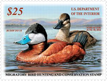 U. S. Department of the Interior, $25  Duck Stamp