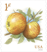 USPS 1 cent Apple Stamp 2016