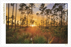 USPS 2016, Everglades National Park Stamp