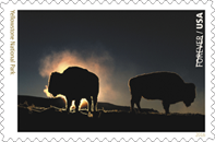 National Park Stamps - Acadia National Park Stamp USPS 2016