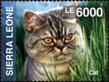 IGPC Sierra Leone Cat Stamp