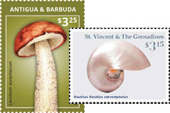 Mushroom and Seashell stamps featured from IGPC 2016