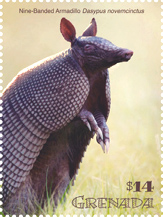 IGPC Nine-Banded Armadillo Stamp, Grenada 