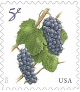 USPS Grapes 5 cent stamp, 2017