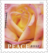 Peace Rose stamp, USPS 2018