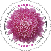 Chrysanthemum Global Forever Stamp, USPS, 2020