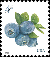 USPS - Blueberries Stamp, 4 cents, 2022