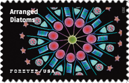 USPS - Life Magnified Forever Stamp, 2023