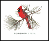 USPS - Northnern Cardinal Stamped Envelope, 2023