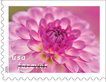 USPS Dahlias Forever Stamps, 2025