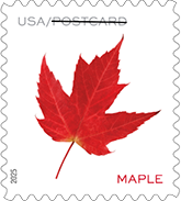 USPS - Vibrant Leaves Forever Stamps, 2025