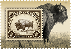 USPS - American Bison Forever Stamp, 2026