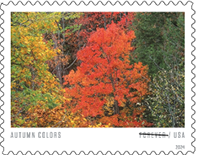 Autumn Colors Forever Stamps!